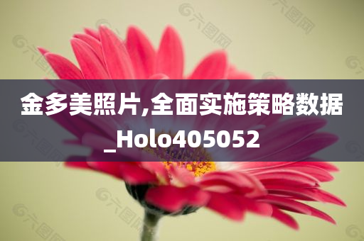 金多美照片,全面实施策略数据_Holo405052