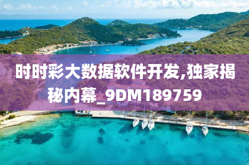 时时彩大数据软件开发,独家揭秘内幕_9DM189759