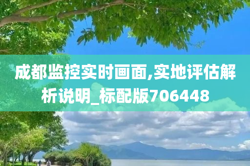 成都监控实时画面,实地评估解析说明_标配版706448