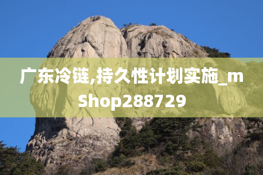 广东冷链,持久性计划实施_mShop288729