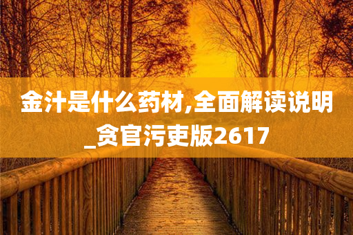 金汁是什么药材,全面解读说明_贪官污吏版2617