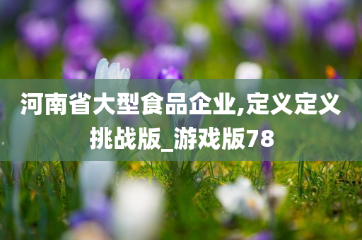 河南省大型食品企业,定义定义挑战版_游戏版78