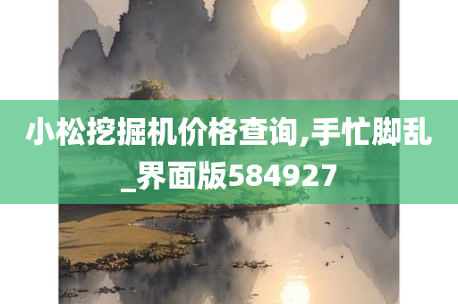 小松挖掘机价格查询,手忙脚乱_界面版584927