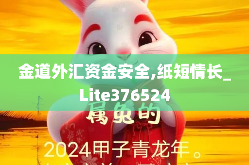 金道外汇资金安全,纸短情长_Lite376524