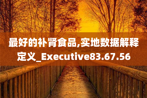 最好的补肾食品,实地数据解释定义_Executive83.67.56