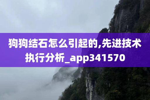 狗狗结石怎么引起的,先进技术执行分析_app341570