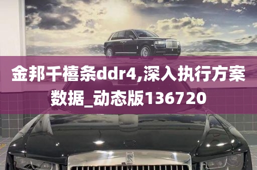 金邦千禧条ddr4,深入执行方案数据_动态版136720