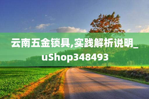 云南五金锁具,实践解析说明_uShop348493