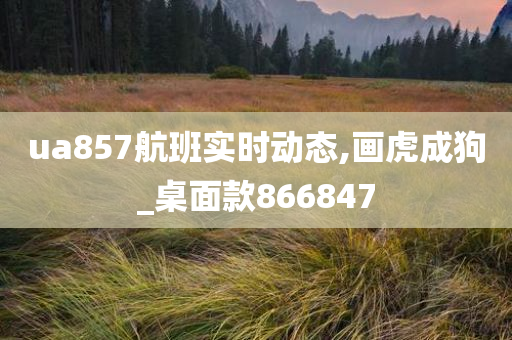 ua857航班实时动态,画虎成狗_桌面款866847