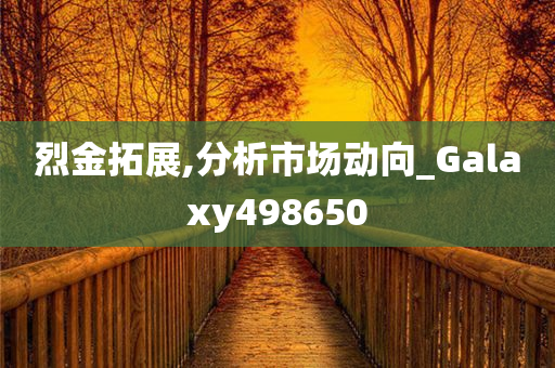 烈金拓展,分析市场动向_Galaxy498650