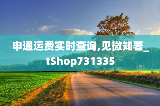 申通运费实时查询,见微知著_tShop731335