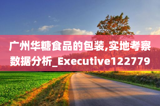 广州华糖食品的包装,实地考察数据分析_Executive122779