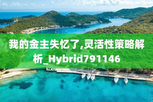 我的金主失忆了,灵活性策略解析_Hybrid791146