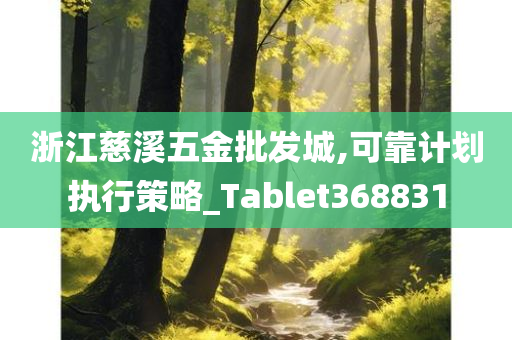 浙江慈溪五金批发城,可靠计划执行策略_Tablet368831