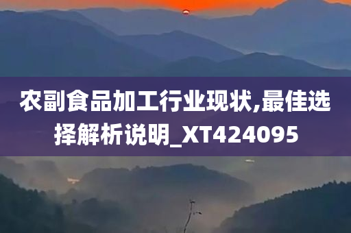 农副食品加工行业现状,最佳选择解析说明_XT424095