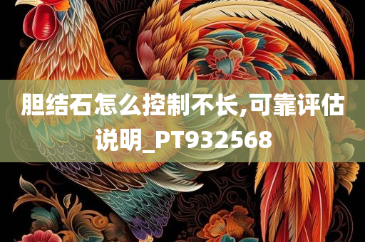 胆结石怎么控制不长,可靠评估说明_PT932568