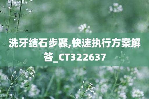 洗牙结石步骤,快速执行方案解答_CT322637