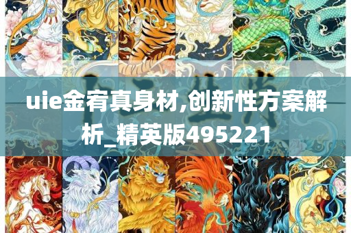 uie金宥真身材,创新性方案解析_精英版495221