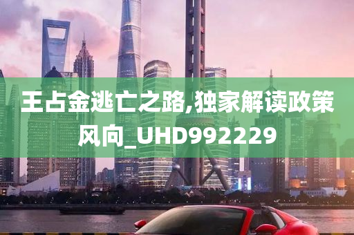 王占金逃亡之路,独家解读政策风向_UHD992229