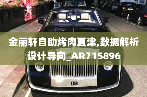 金丽轩自助烤肉夏津,数据解析设计导向_AR715896