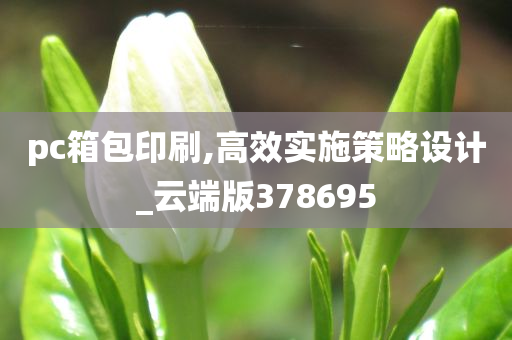 pc箱包印刷,高效实施策略设计_云端版378695