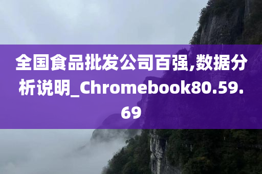 全国食品批发公司百强,数据分析说明_Chromebook80.59.69