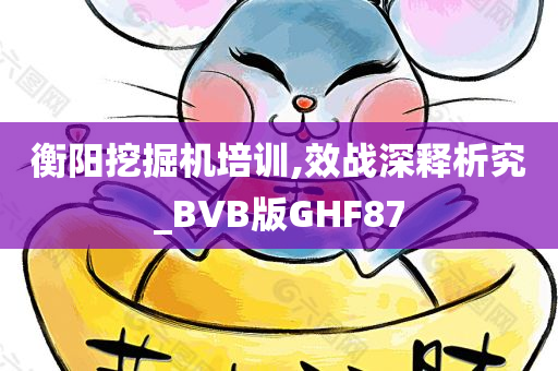 衡阳挖掘机培训,效战深释析究_BVB版GHF87