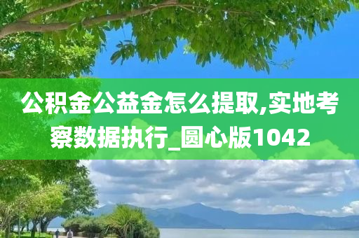 公积金公益金怎么提取,实地考察数据执行_圆心版1042