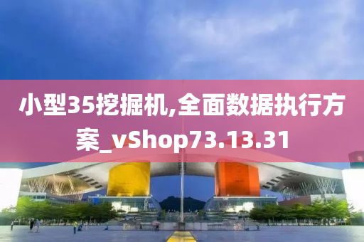 小型35挖掘机,全面数据执行方案_vShop73.13.31