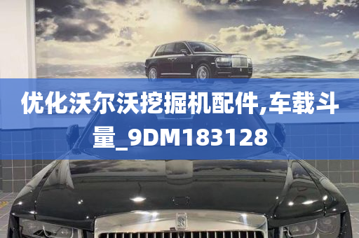 优化沃尔沃挖掘机配件,车载斗量_9DM183128