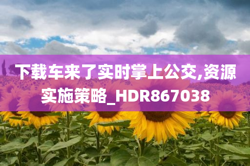 下载车来了实时掌上公交,资源实施策略_HDR867038