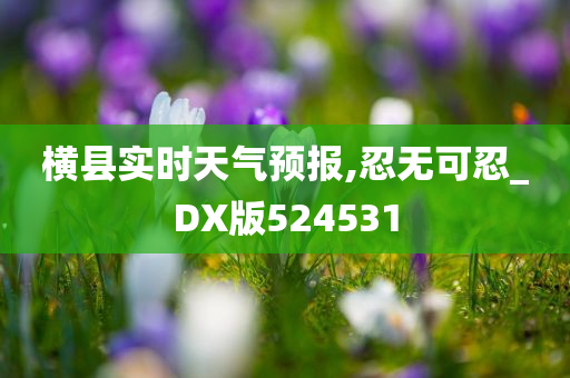 横县实时天气预报,忍无可忍_DX版524531