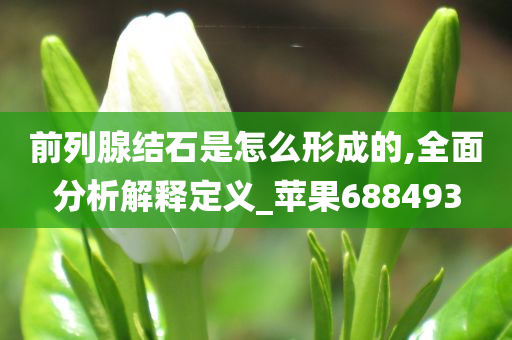 前列腺结石是怎么形成的,全面分析解释定义_苹果688493