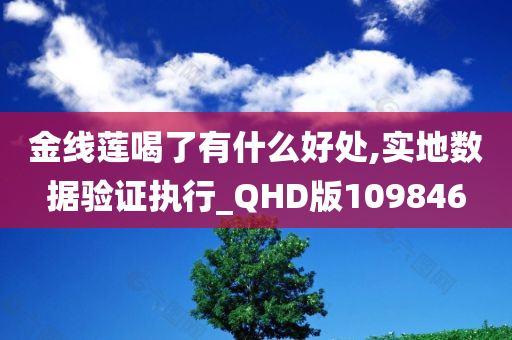 金线莲喝了有什么好处,实地数据验证执行_QHD版109846