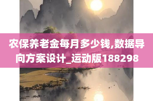 农保养老金每月多少钱,数据导向方案设计_运动版188298