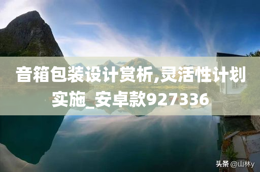 音箱包装设计赏析,灵活性计划实施_安卓款927336