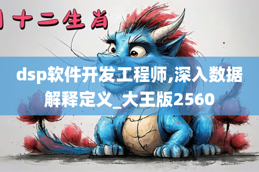 dsp软件开发工程师,深入数据解释定义_大王版2560