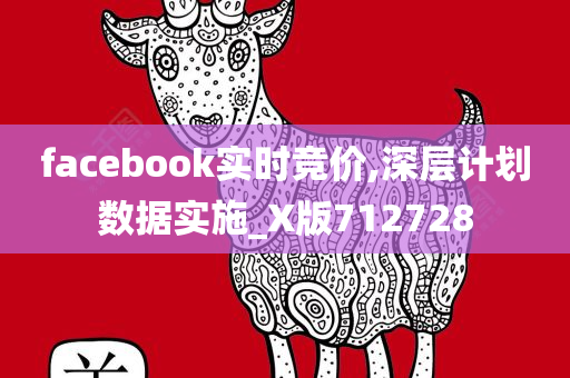 facebook实时竞价,深层计划数据实施_X版712728