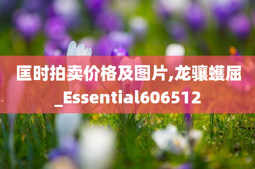 匡时拍卖价格及图片,龙骧蠖屈_Essential606512