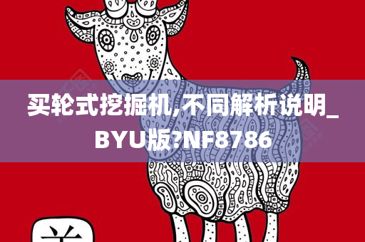 买轮式挖掘机,不同解析说明_BYU版?NF8786