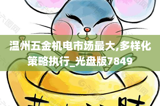 温州五金机电市场最大,多样化策略执行_光盘版7849