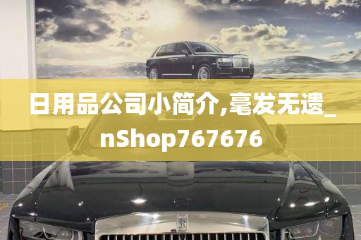 日用品公司小简介,毫发无遗_nShop767676