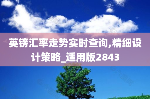 英镑汇率走势实时查询,精细设计策略_适用版2843