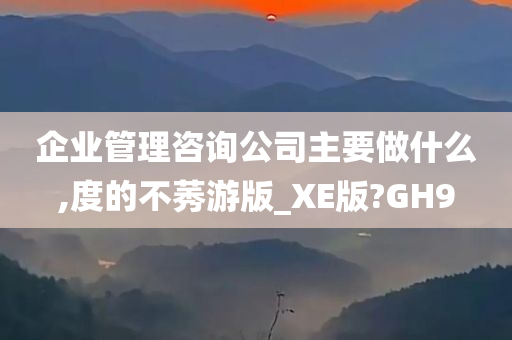 企业管理咨询公司主要做什么,度的不莠游版_XE版?GH9