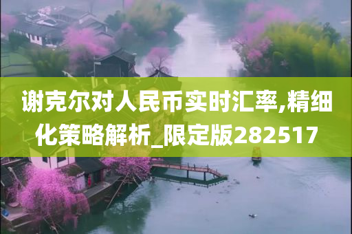 谢克尔对人民币实时汇率,精细化策略解析_限定版282517