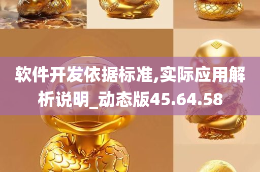 软件开发依据标准,实际应用解析说明_动态版45.64.58