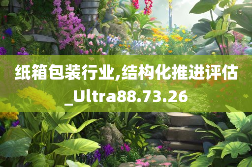 纸箱包装行业,结构化推进评估_Ultra88.73.26