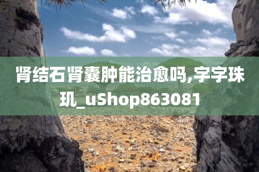 肾结石肾囊肿能治愈吗,字字珠玑_uShop863081