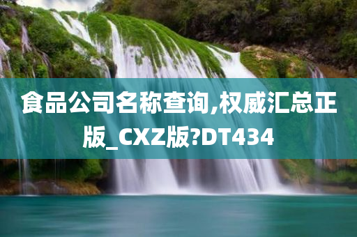 食品公司名称查询,权威汇总正版_CXZ版?DT434