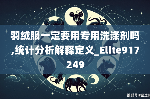 羽绒服一定要用专用洗涤剂吗,统计分析解释定义_Elite917249